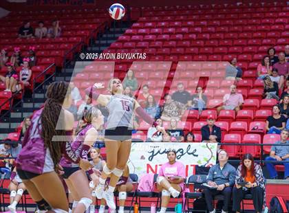 Thumbnail 2 in Sherman @ Lovejoy photogallery.