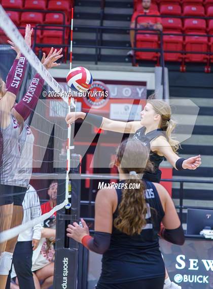 Thumbnail 1 in Sherman @ Lovejoy photogallery.