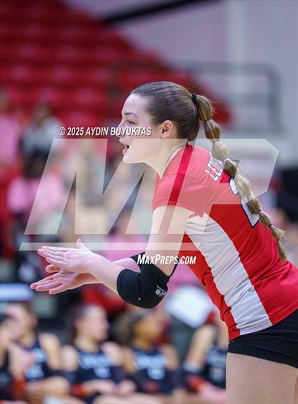 Thumbnail 1 in Sherman @ Lovejoy photogallery.