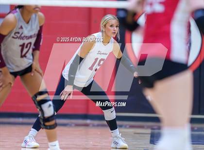 Thumbnail 2 in Sherman @ Lovejoy photogallery.