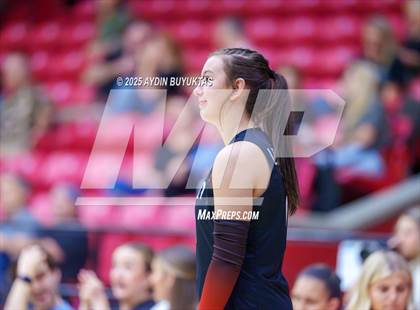 Thumbnail 1 in Sherman @ Lovejoy photogallery.