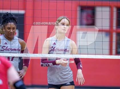 Thumbnail 1 in Sherman @ Lovejoy photogallery.