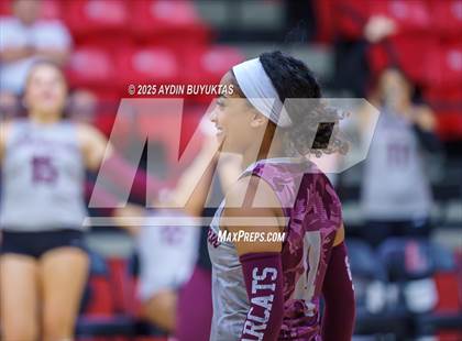 Thumbnail 3 in Sherman @ Lovejoy photogallery.