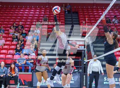 Thumbnail 3 in Sherman @ Lovejoy photogallery.