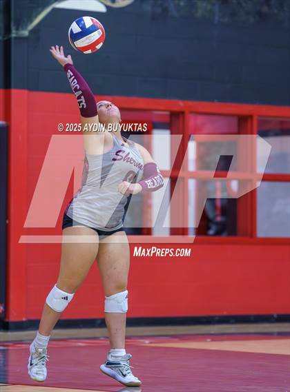 Thumbnail 1 in Sherman @ Lovejoy photogallery.