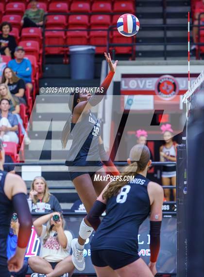 Thumbnail 3 in Sherman @ Lovejoy photogallery.