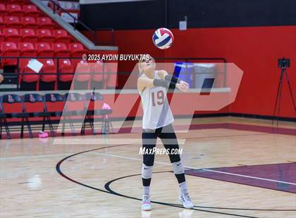 Thumbnail 2 in Sherman @ Lovejoy photogallery.
