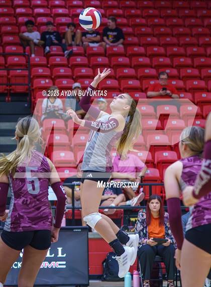 Thumbnail 1 in Sherman @ Lovejoy photogallery.
