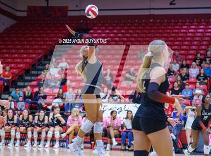 Thumbnail 1 in Sherman @ Lovejoy photogallery.