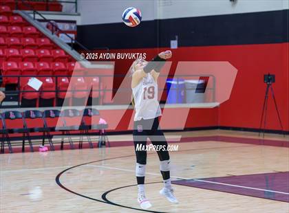 Thumbnail 3 in Sherman @ Lovejoy photogallery.