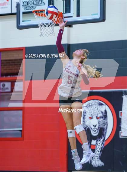 Thumbnail 3 in Sherman @ Lovejoy photogallery.