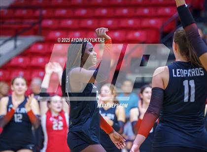 Thumbnail 3 in Sherman @ Lovejoy photogallery.