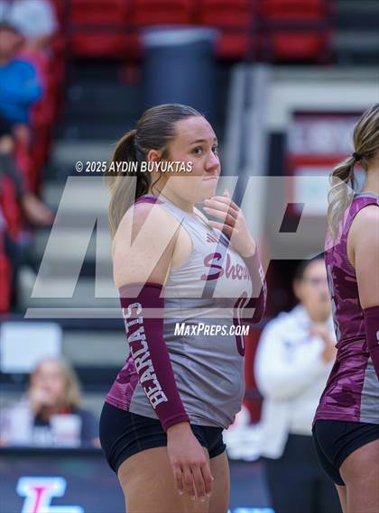 Thumbnail 1 in Sherman @ Lovejoy photogallery.