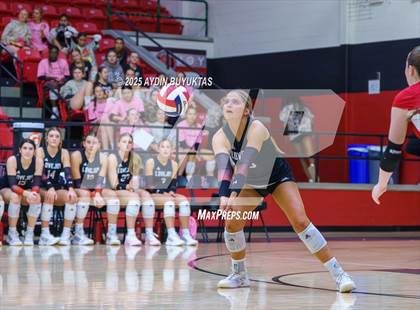 Thumbnail 1 in Sherman @ Lovejoy photogallery.