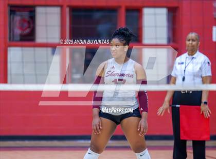 Thumbnail 3 in Sherman @ Lovejoy photogallery.