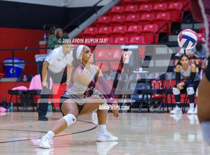 Thumbnail 2 in Sherman @ Lovejoy photogallery.