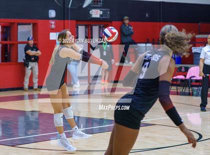 Thumbnail 2 in Sherman @ Lovejoy photogallery.