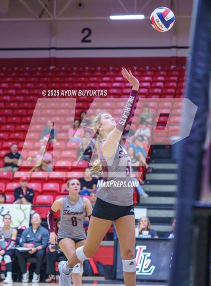Thumbnail 3 in Sherman @ Lovejoy photogallery.