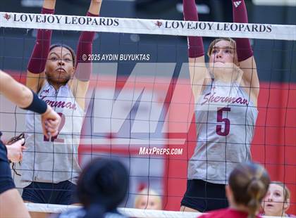 Thumbnail 3 in Sherman @ Lovejoy photogallery.