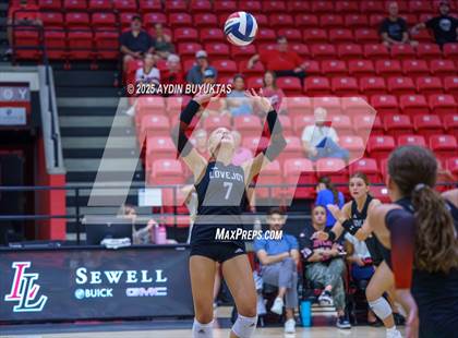 Thumbnail 3 in Sherman @ Lovejoy photogallery.