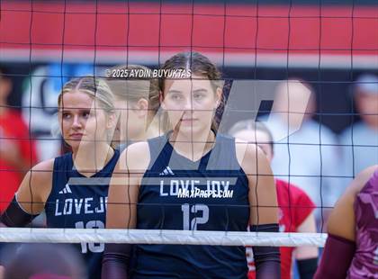 Thumbnail 1 in Sherman @ Lovejoy photogallery.