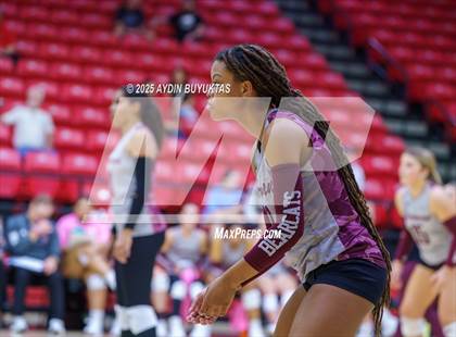 Thumbnail 1 in Sherman @ Lovejoy photogallery.