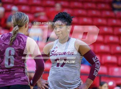 Thumbnail 1 in Sherman @ Lovejoy photogallery.