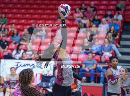 Thumbnail 2 in Sherman @ Lovejoy photogallery.