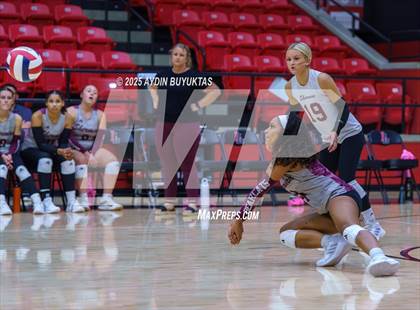 Thumbnail 3 in Sherman @ Lovejoy photogallery.