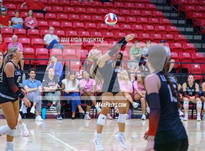 Thumbnail 3 in Sherman @ Lovejoy photogallery.