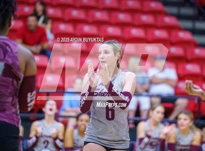 Thumbnail 3 in Sherman @ Lovejoy photogallery.