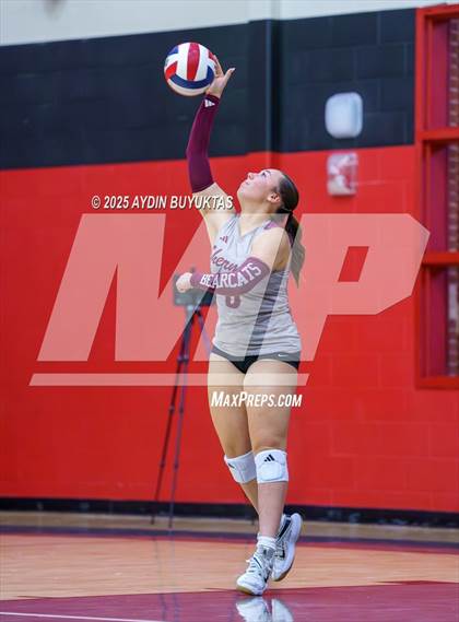 Thumbnail 1 in Sherman @ Lovejoy photogallery.