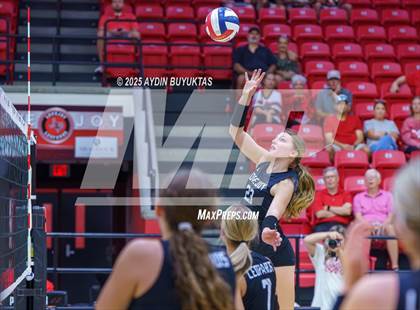 Thumbnail 1 in Sherman @ Lovejoy photogallery.