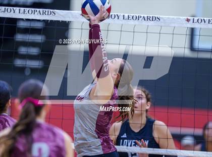 Thumbnail 2 in Sherman @ Lovejoy photogallery.