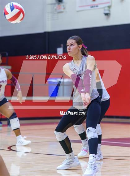 Thumbnail 3 in Sherman @ Lovejoy photogallery.