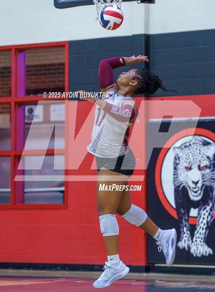 Thumbnail 2 in Sherman @ Lovejoy photogallery.