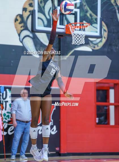Thumbnail 2 in Sherman @ Lovejoy photogallery.