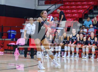 Thumbnail 3 in Sherman @ Lovejoy photogallery.