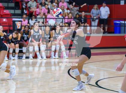 Thumbnail 2 in Sherman @ Lovejoy photogallery.