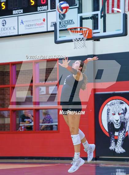 Thumbnail 3 in Sherman @ Lovejoy photogallery.