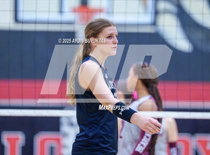 Thumbnail 1 in Sherman @ Lovejoy photogallery.