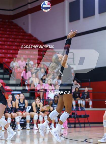 Thumbnail 3 in Sherman @ Lovejoy photogallery.