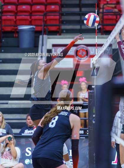 Thumbnail 1 in Sherman @ Lovejoy photogallery.