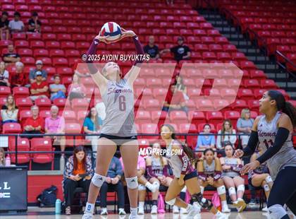 Thumbnail 1 in Sherman @ Lovejoy photogallery.