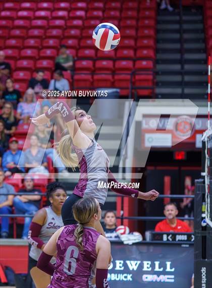 Thumbnail 2 in Sherman @ Lovejoy photogallery.