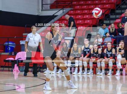 Thumbnail 2 in Sherman @ Lovejoy photogallery.