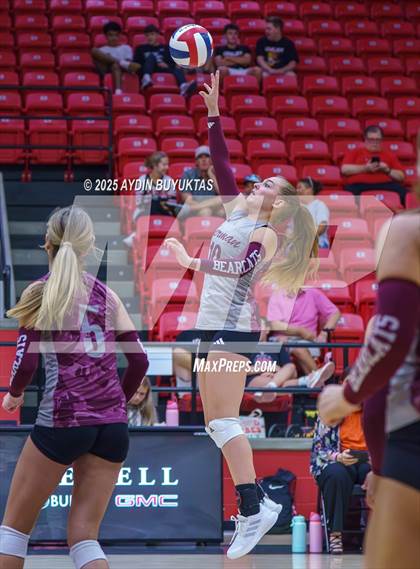 Thumbnail 2 in Sherman @ Lovejoy photogallery.