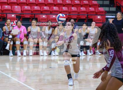Thumbnail 3 in Sherman @ Lovejoy photogallery.