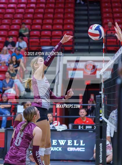 Thumbnail 3 in Sherman @ Lovejoy photogallery.