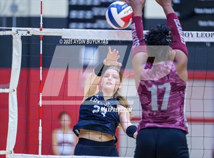 Thumbnail 3 in Sherman @ Lovejoy photogallery.